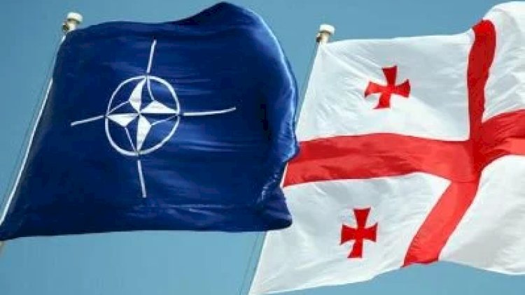    Gürcü deputat NATO-nu geosiyasi cəsarət göstərməyə çağırdı   