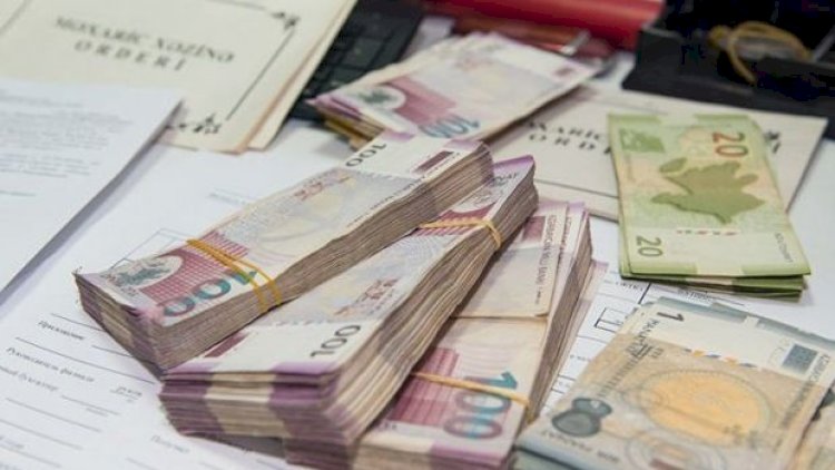    Vergi orqanları doqquz ayda 31 milyon manat ziyanı büdcəyə ödətdirib   