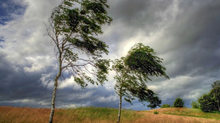    Faktiki hava açıqlandı - Külək, yağış...    