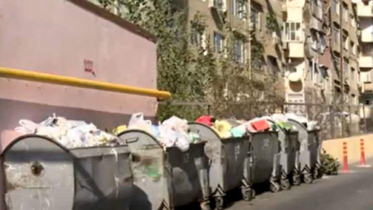    Bakıda qoyulan tullantı qabları antisanitar vəziyyət yaratdı - VİDEO   