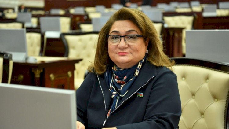   “Belə axmaq-axmaq fikirləri...” - Deputat əsəbləşdi   