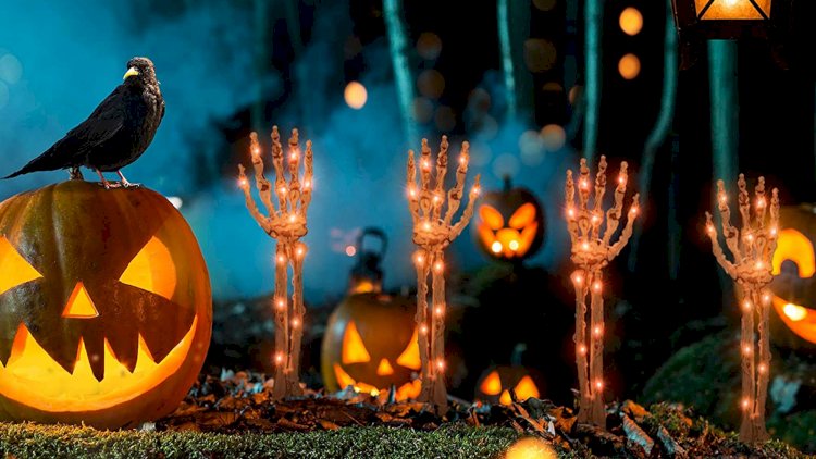    “Halloween” baxçalara da gedib çatıb: “Bu, psixoloji cəhətdən düzgün deyil”   