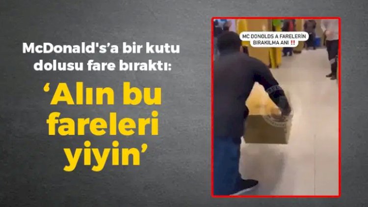    İstanbulda etiraz: “McDonald's”a siçan buraxdı   