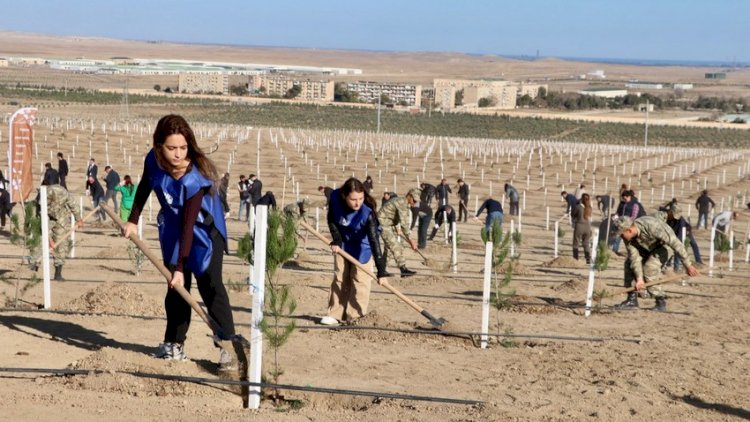    Zəfər Günü ölkə ərazisində ağacəkmə aksiyaları - FOTOLAR   