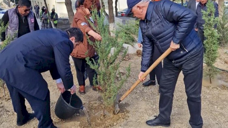    Suraxanıda Zəfər Günü münasibətilə ağacəkmə aksiyası keçirildi   - Fotolar