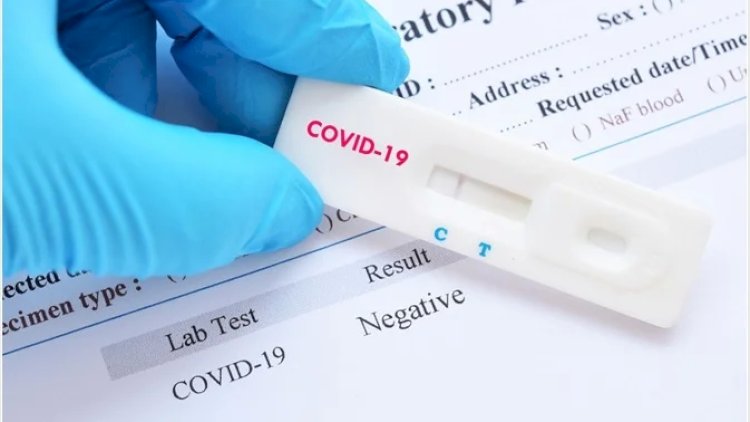    Azərbaycanda COVID: Son statistika açıqlandı   