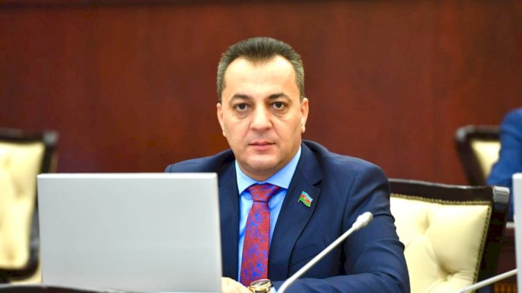    Deputat Şəkidə universitet yaratmağı təklif etdi   