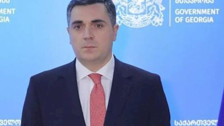    Gürcü nazir Ermənistana göndərilən silahlardan danışdı   