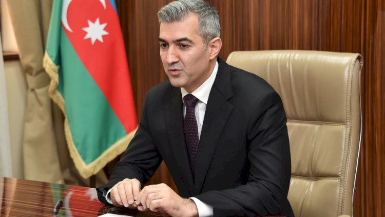    Bu il Azərbaycana daxil olan və tərk edən əcnəbilərin sayı açıqlandı   