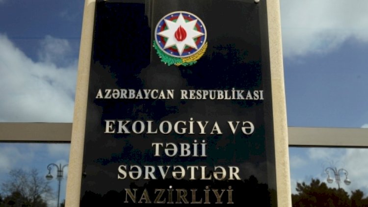    Nazirə yeni müşavir təyin olundu   