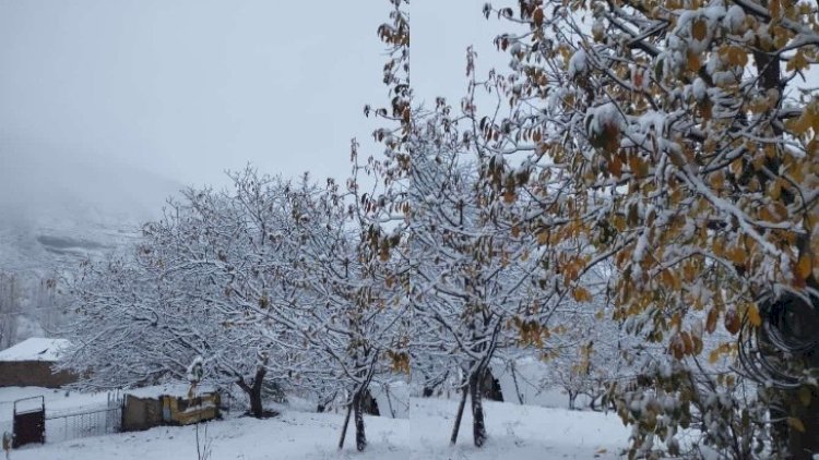    Rayonlara qar yağdı, 11 dərəcə şaxta var - Faktiki hava    