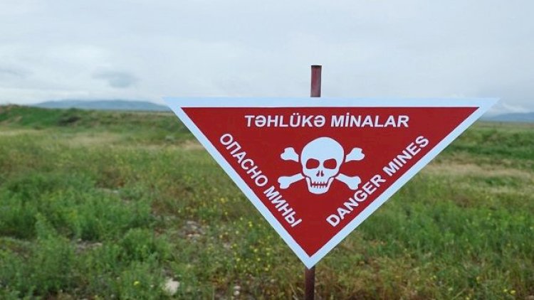    Ermənilərin mina terroru: Bu həm də ekologiyaya qarşı düşmənçilikdir   