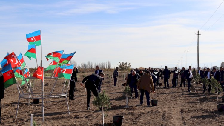    Ağacəkmə aksiyası və balıq buraxılışı tədbiri keçirilib   