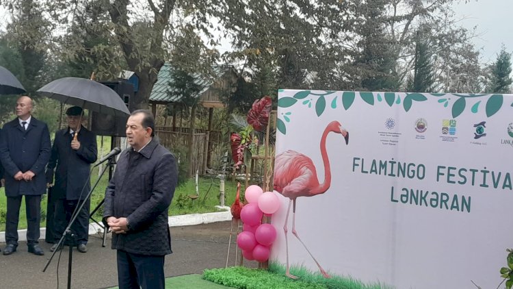    Qızılağac Milli Parkında “Flaminqo Festivalı” - FOTO   