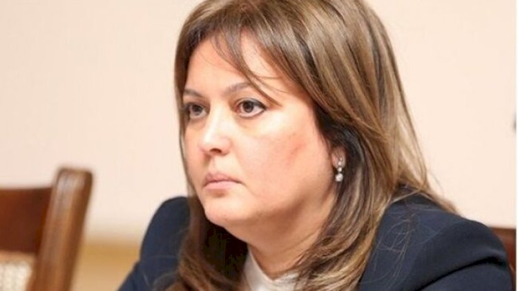    Azərbaycan iqlim dəyişmələrinə həssas olan ölkələrdəndir - Nazir müavini    