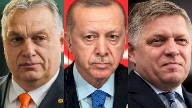    Ərdoğan, Orban və Fiso mükafata layiq görüldülər   
