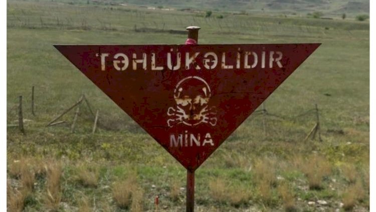    2020-ci ilin noyabrından bəri 340 Azərbaycan vətəndaşı mina qurbanı olub   