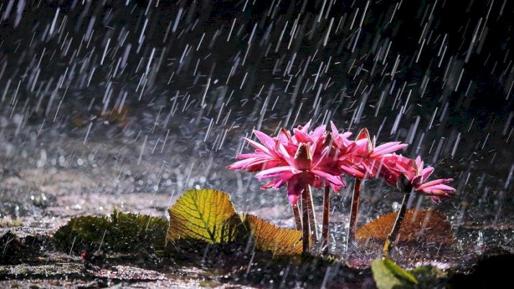    Yağıntılı hava şəraiti nə vaxtadək davam edəcək?   
