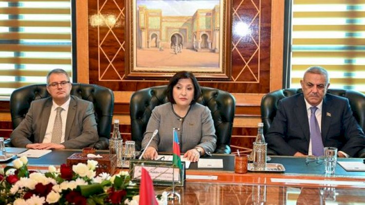    Sahibə Qafarova Naam Miyara ilə azad edilmiş ərazilərin bərpasından danışıb   