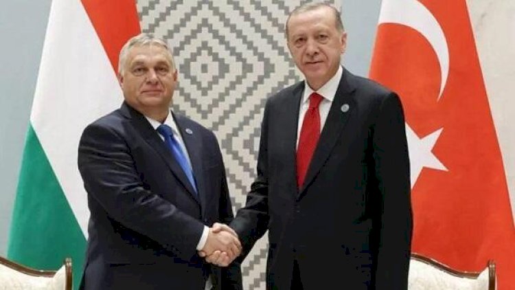    Ərdoğan Orbana “Togg” hədiyyə etdi, əvəzində at aldı - Fotolar   