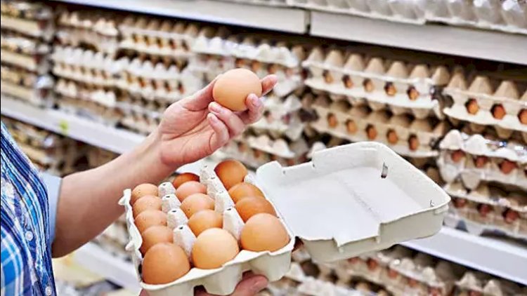   Yumurta bazarında “panika”: Qiyməti kim bahalaşdırır?    