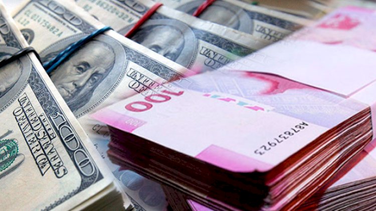    Bir şəxs bir gündə nə qədər dollar dəyişə bilər? - VİDEO   
