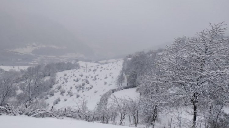    Sabah 8 dərəcə şaxta olacaq, bu ərazilər buz bağlayacaq   
