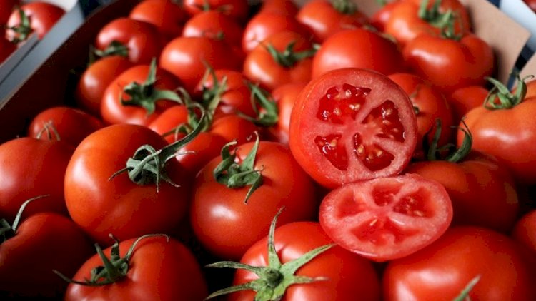    Pomidor “su qiyməti“nə satılır: Digər məhsullar da ucuzlaşacaq?    