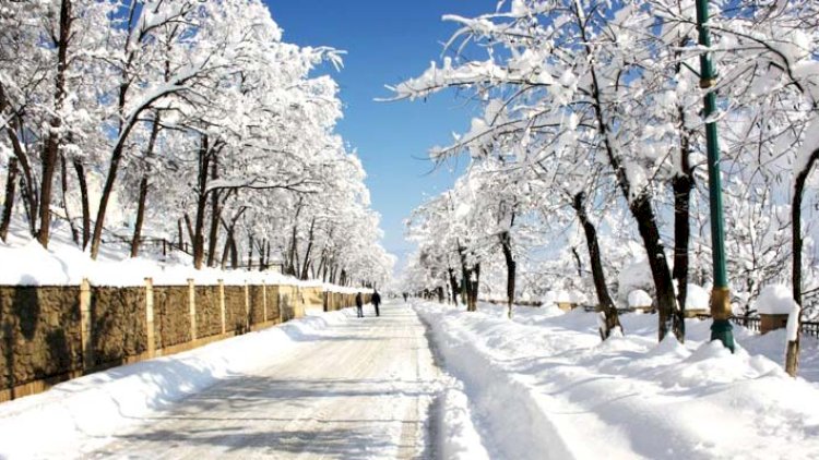    Azərbaycanda Sibir soyuğu: 12 dərəcə şaxta var   