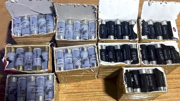    “Sədərək” gömrük postunda yük maşınında 250 ədəd patron aşkar edildi   