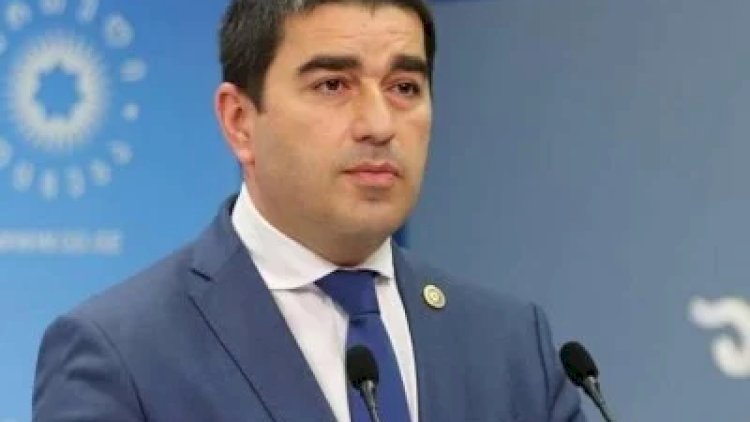    Rəsmi Tbilisi Zelenski və Sandudan üzrxahlıq gözləyir   