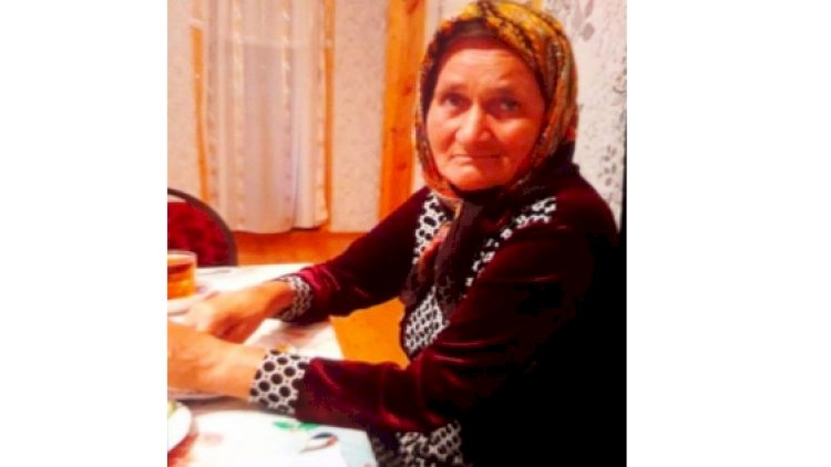    Göyçayda ahıl qadın itkin düşdü   