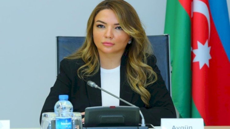    “Mart ayında xüsusi qrant müsabiqəsi elan edilə bilər”   