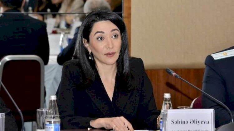    “Mirzoyanın xəritə açıqlaması bunu təsdiqləyir” - Ombudsman   