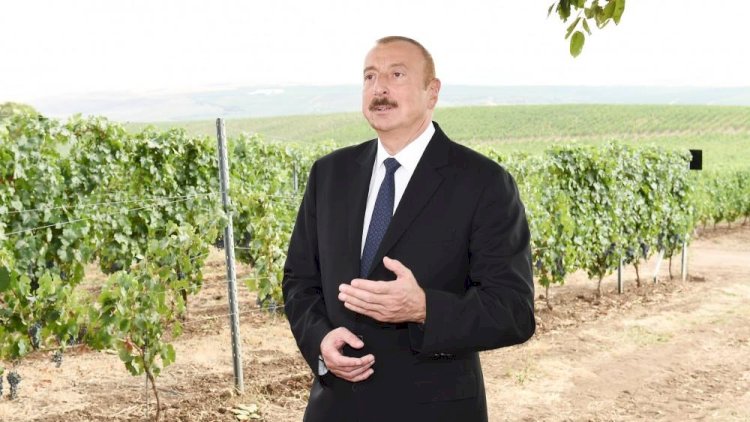    44 sərəncam, 208 milyon manat vəsait – Regionlar necə dirçəlir?   