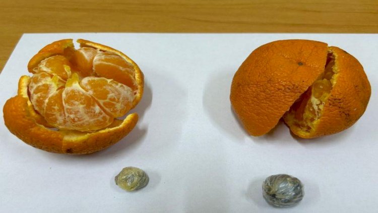    Təcridxanaya mandarinin içində narkotik keçirmək istədi    
