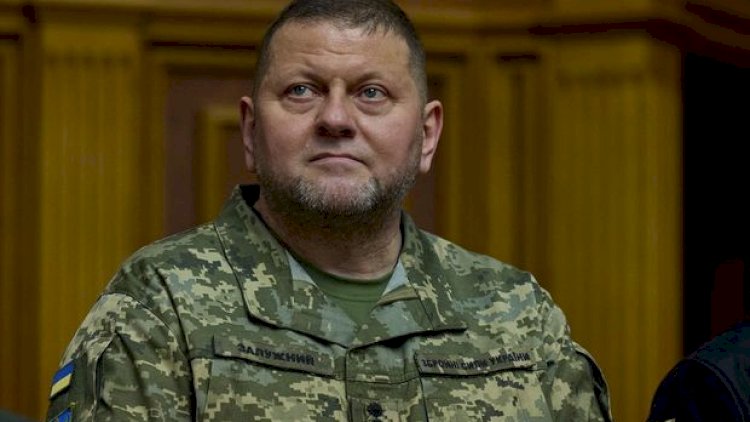    Ukrayna ordusunun baş komandanı istefaya göndərildi   