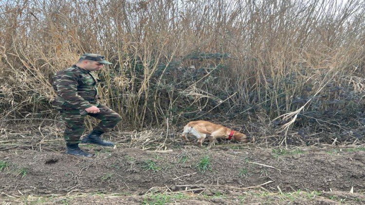    İmişlidə itkin düşən 11 yaşlı uşaq: Axtarışlar davam edir   