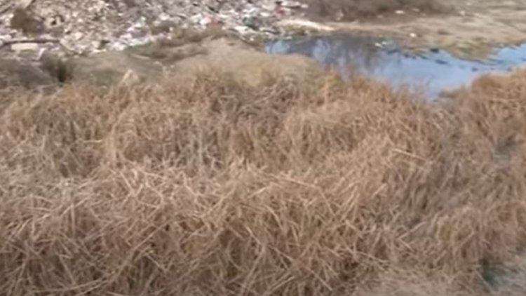    Sumqayıtda ürəktutma keçirən kişi dərəyə yuvarlandı - Video   