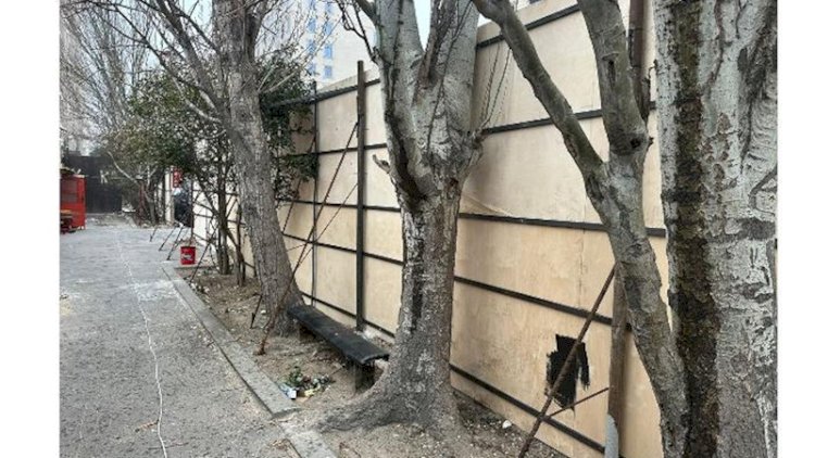    Bakının mərkəzində “yaşıllıq soyqırımı”na hazırlıq - Fotolar   