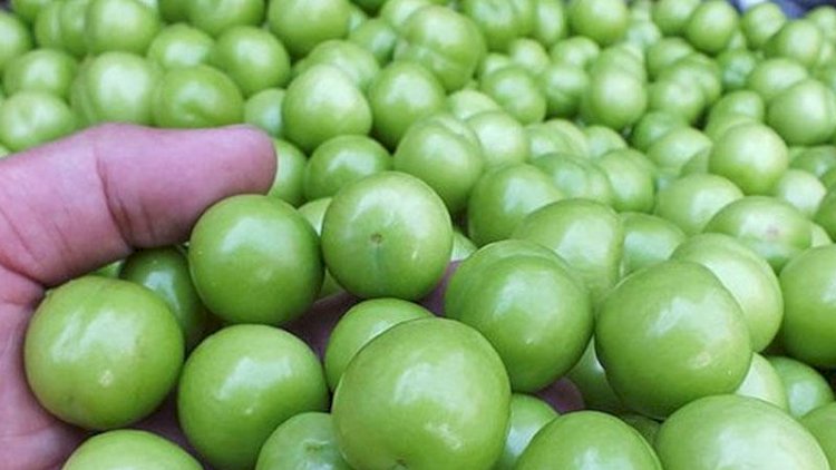    Bakıda 350 manata alça satılır   