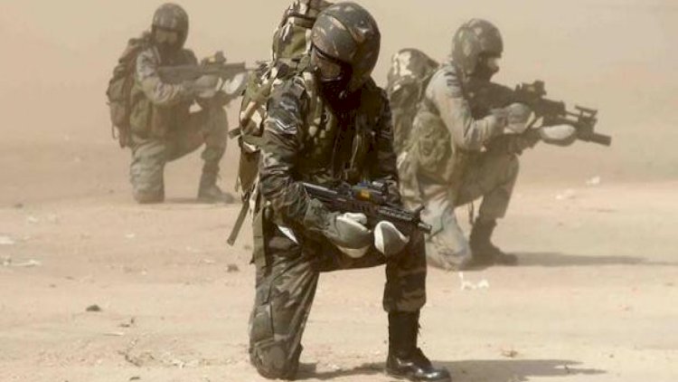    Fransa ordusu erməni hərbçilərinə dağ şəraitində döyüş kursları keçəcək   