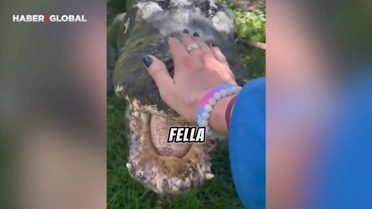    Timsahla danışan qadının videosu hamı heyrətləndirdi   