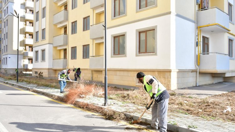    Abşeronda bayram təmizliyinə başlanıldı     - Fotolar