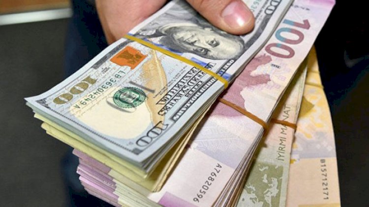    Pulumuzu necə saxlayaq; manat, yoxsa dollar? - Açıqlama   