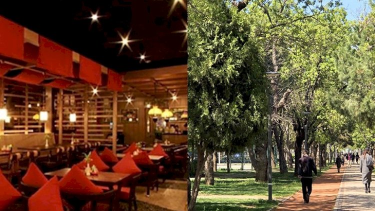    Kafe, restoran və parklardakı təhlükə - DİQQƏTLİ OLUN!    