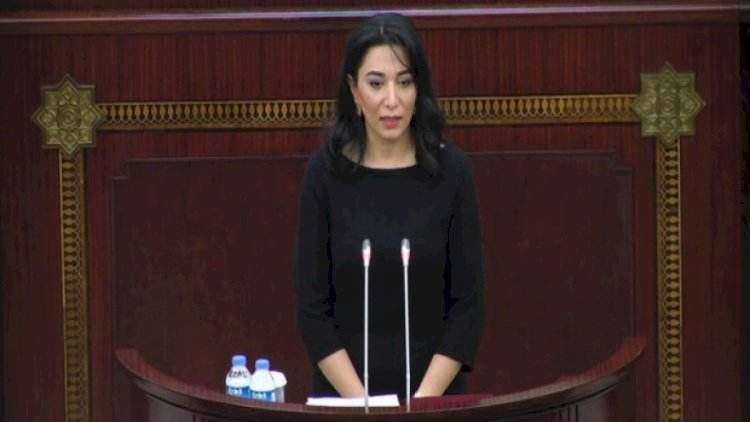    Parlament ombudsmanın məruzəsini qəbul etdi   
