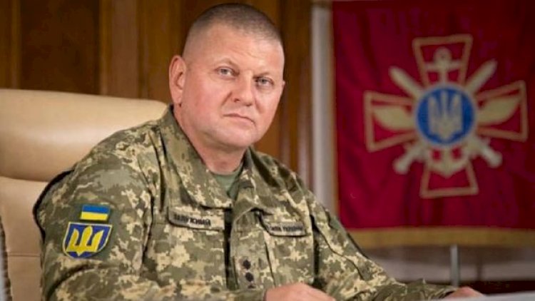    Ukrayna ordusunun keçmiş baş komandanına yeni vəzifə veriləcək   