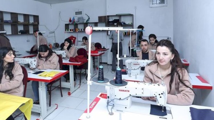    Sumqayıtda Sosial Sahibkarlıq və Məşğulluq Mərkəzi yaradıldı   