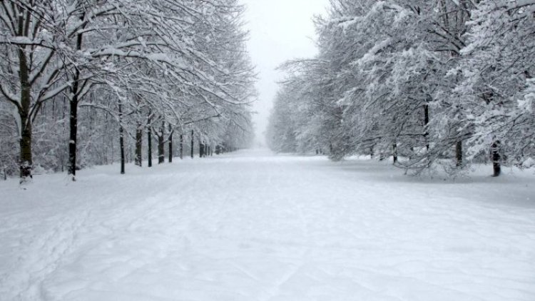    Külək, yağış, qar... - Sabahın HAVA PROQNOZU   